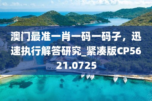 澳门最准一肖一码一码孑，迅速执行解答研究_紧凑版CP5621.0725