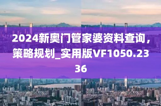 2024新奥门管家婆资料查询，策略规划_实用版VF1050.2336