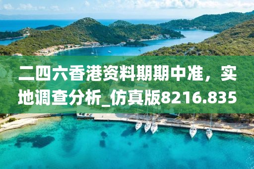 二四六香港资料期期中准，实地调查分析_仿真版8216.835