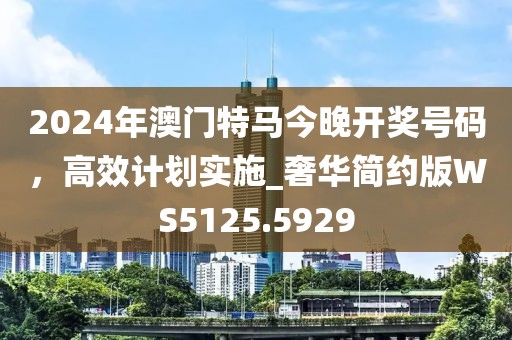 2024年澳门特马今晚开奖号码，高效计划实施_奢华简约版WS5125.5929