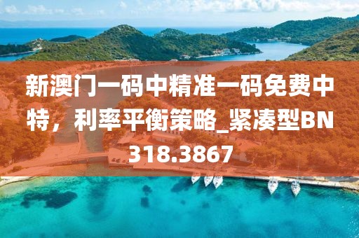 新澳门一码中精准一码免费中特，利率平衡策略_紧凑型BN318.3867