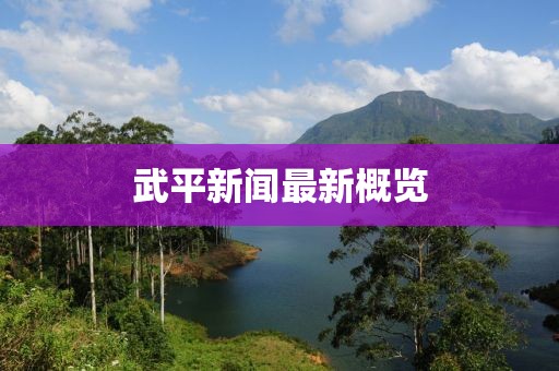 武平新闻最新概览