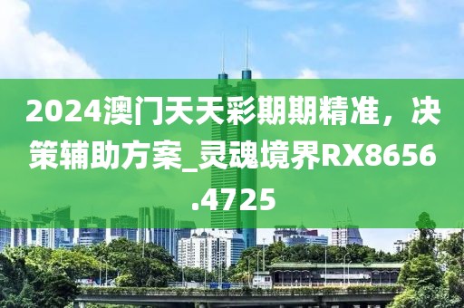 2024澳门天天彩期期精准，决策辅助方案_灵魂境界RX8656.4725