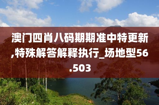 澳门四肖八码期期准中特更新,特殊解答解释执行_场地型56.503