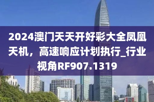 2024澳门天天开好彩大全凤凰天机，高速响应计划执行_行业视角RF907.1319
