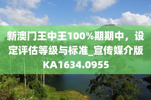 新澳门王中王100%期期中，设定评估等级与标准_宣传媒介版KA1634.0955
