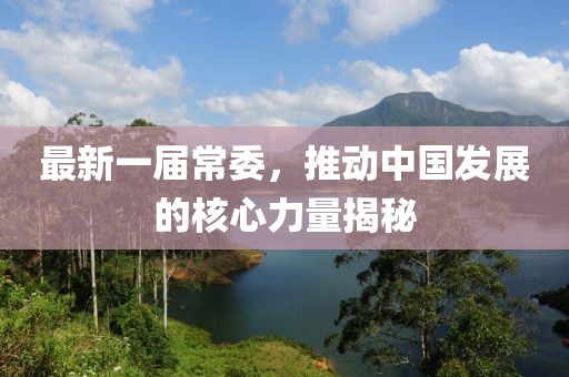 最新一届常委，推动中国发展的核心力量揭秘