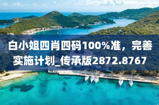 白小姐四肖四码100%准，完善实施计划_传承版2872.8767