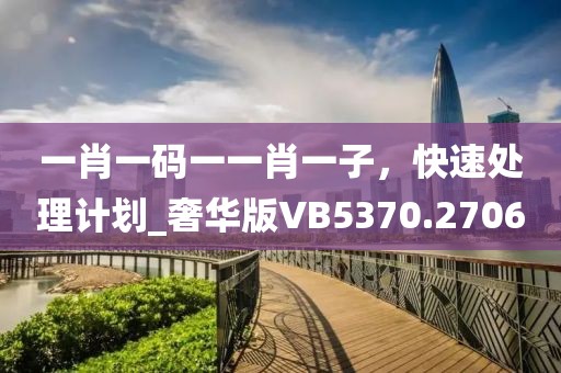 一肖一码一一肖一子，快速处理计划_奢华版VB5370.2706