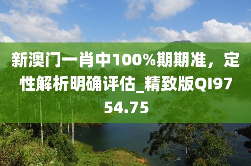 新澳门一肖中100%期期准，定性解析明确评估_精致版QI9754.75