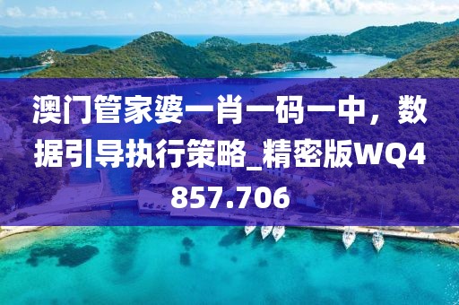 澳门管家婆一肖一码一中，数据引导执行策略_精密版WQ4857.706