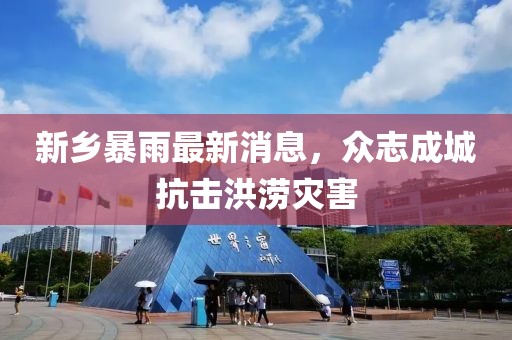 新乡暴雨最新消息，众志成城抗击洪涝灾害
