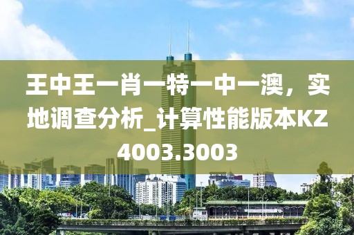 王中王一肖一特一中一澳，实地调查分析_计算性能版本KZ4003.3003