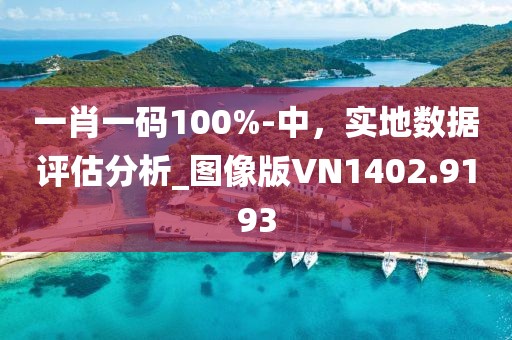 一肖一码100%-中，实地数据评估分析_图像版VN1402.9193