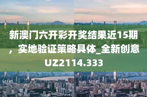 新澳门六开彩开奖结果近15期，实地验证策略具体_全新创意UZ2114.333
