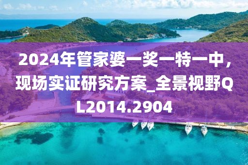2024年管家婆一奖一特一中，现场实证研究方案_全景视野QL2014.2904