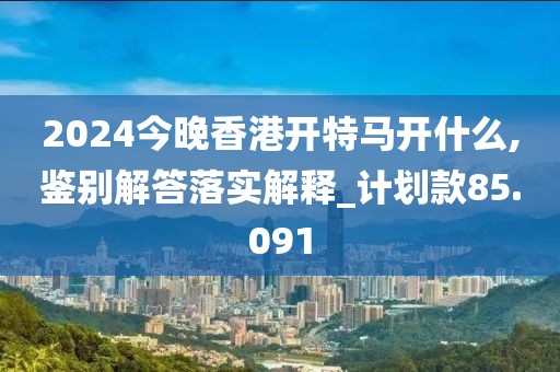 2024今晚香港开特马开什么,鉴别解答落实解释_计划款85.091