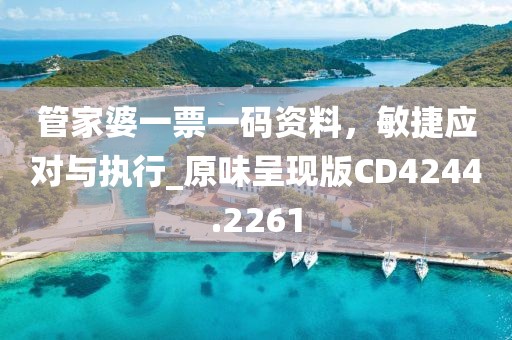 管家婆一票一码资料，敏捷应对与执行_原味呈现版CD4244.2261