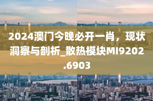2024澳门今晚必开一肖，现状洞察与剖析_散热模块MI9202.6903