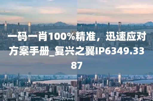 一码一肖100%精准，迅速应对方案手册_复兴之翼IP6349.3387