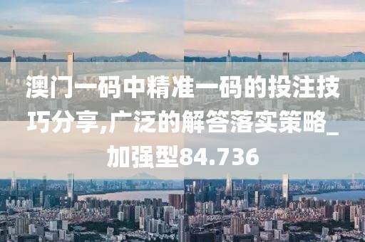 澳门一码中精准一码的投注技巧分享,广泛的解答落实策略_加强型84.736