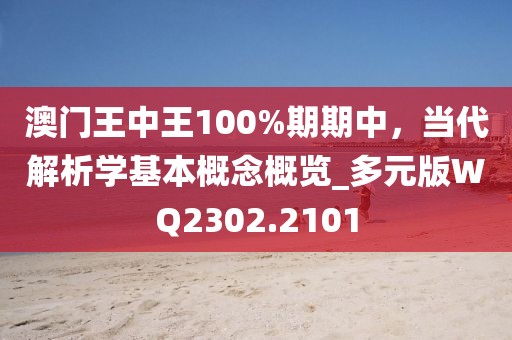 澳门王中王100%期期中，当代解析学基本概念概览_多元版WQ2302.2101