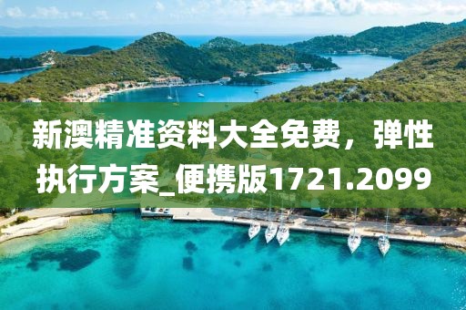 新澳精准资料大全免费，弹性执行方案_便携版1721.2099