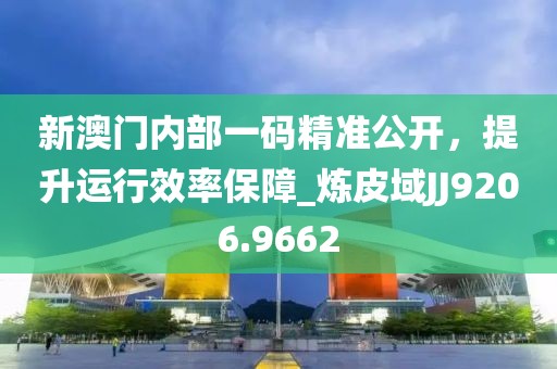新澳门内部一码精准公开，提升运行效率保障_炼皮域JJ9206.9662