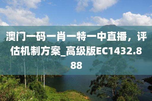 澳门一码一肖一特一中直播，评估机制方案_高级版EC1432.888