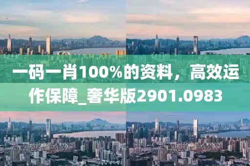 一码一肖100%的资料，高效运作保障_奢华版2901.0983