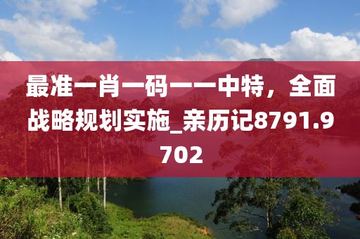 最准一肖一码一一中特，全面战略规划实施_亲历记8791.9702