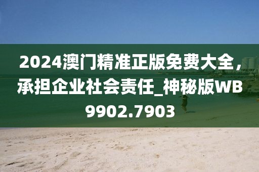 2024澳门精准正版免费大全，承担企业社会责任_神秘版WB9902.7903