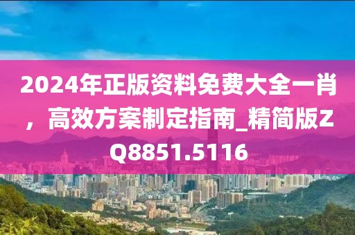 2024年正版资料免费大全一肖，高效方案制定指南_精简版ZQ8851.5116