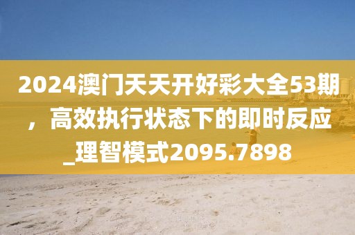 2024澳门天天开好彩大全53期，高效执行状态下的即时反应_理智模式2095.7898