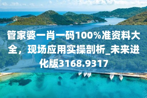 管家婆一肖一码100%准资料大全，现场应用实操剖析_未来进化版3168.9317