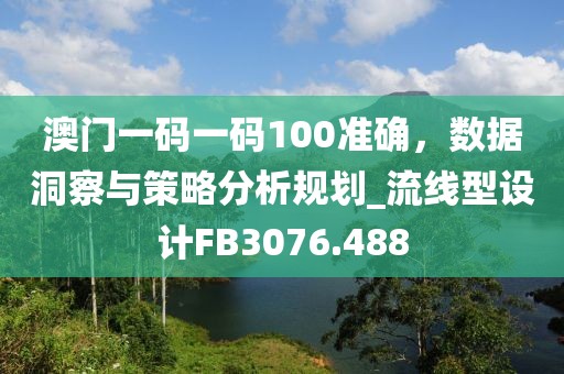 澳门一码一码100准确，数据洞察与策略分析规划_流线型设计FB3076.488