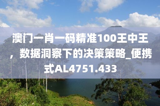 澳门一肖一码精准100王中王，数据洞察下的决策策略_便携式AL4751.433