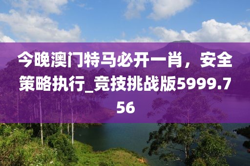今晚澳门特马必开一肖，安全策略执行_竞技挑战版5999.756