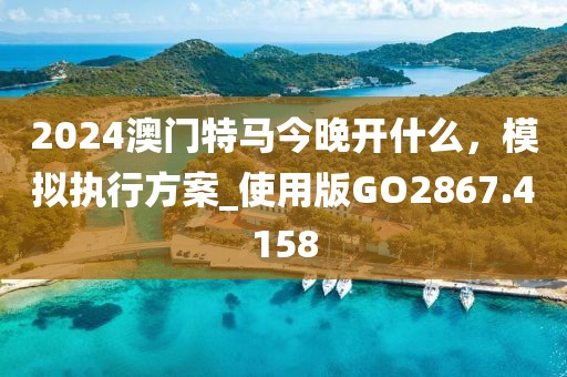 2024澳门特马今晚开什么，模拟执行方案_使用版GO2867.4158