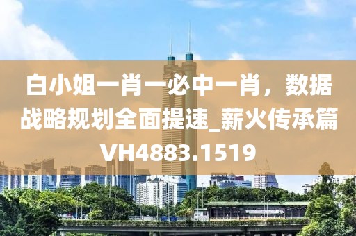 白小姐一肖一必中一肖，数据战略规划全面提速_薪火传承篇VH4883.1519