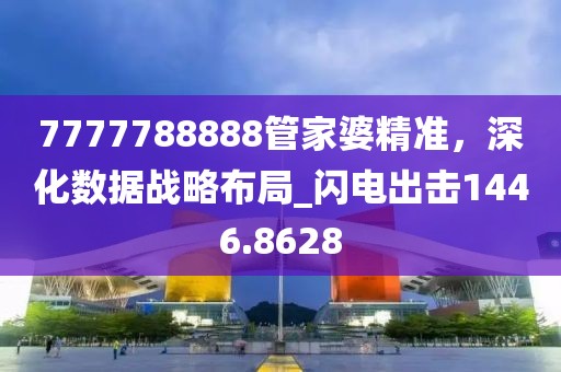 7777788888管家婆精准，深化数据战略布局_闪电出击1446.8628