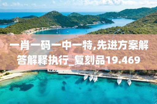 一肖一码一中一特,先进方案解答解释执行_复刻品19.469