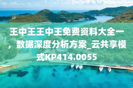 王中王王中王免费资料大全一，数据深度分析方案_云共享模式KP414.0055