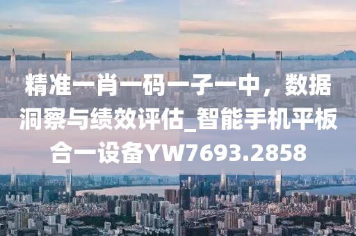 精准一肖一码一子一中，数据洞察与绩效评估_智能手机平板合一设备YW7693.2858