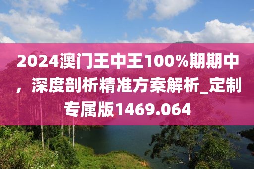 2024澳门王中王100%期期中，深度剖析精准方案解析_定制专属版1469.064