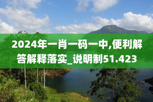 2024年一肖一码一中,便利解答解释落实_说明制51.423