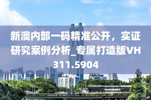 新澳内部一码精准公开，实证研究案例分析_专属打造版VH311.5904