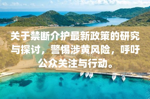 关于禁断介护最新政策的研究与探讨，警惕涉黄风险，呼吁公众关注与行动。