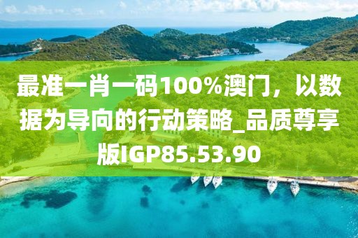 最准一肖一码100%澳门，以数据为导向的行动策略_品质尊享版IGP85.53.90