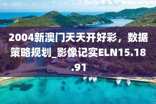 2004新澳门天天开好彩，数据策略规划_影像记实ELN15.18.91